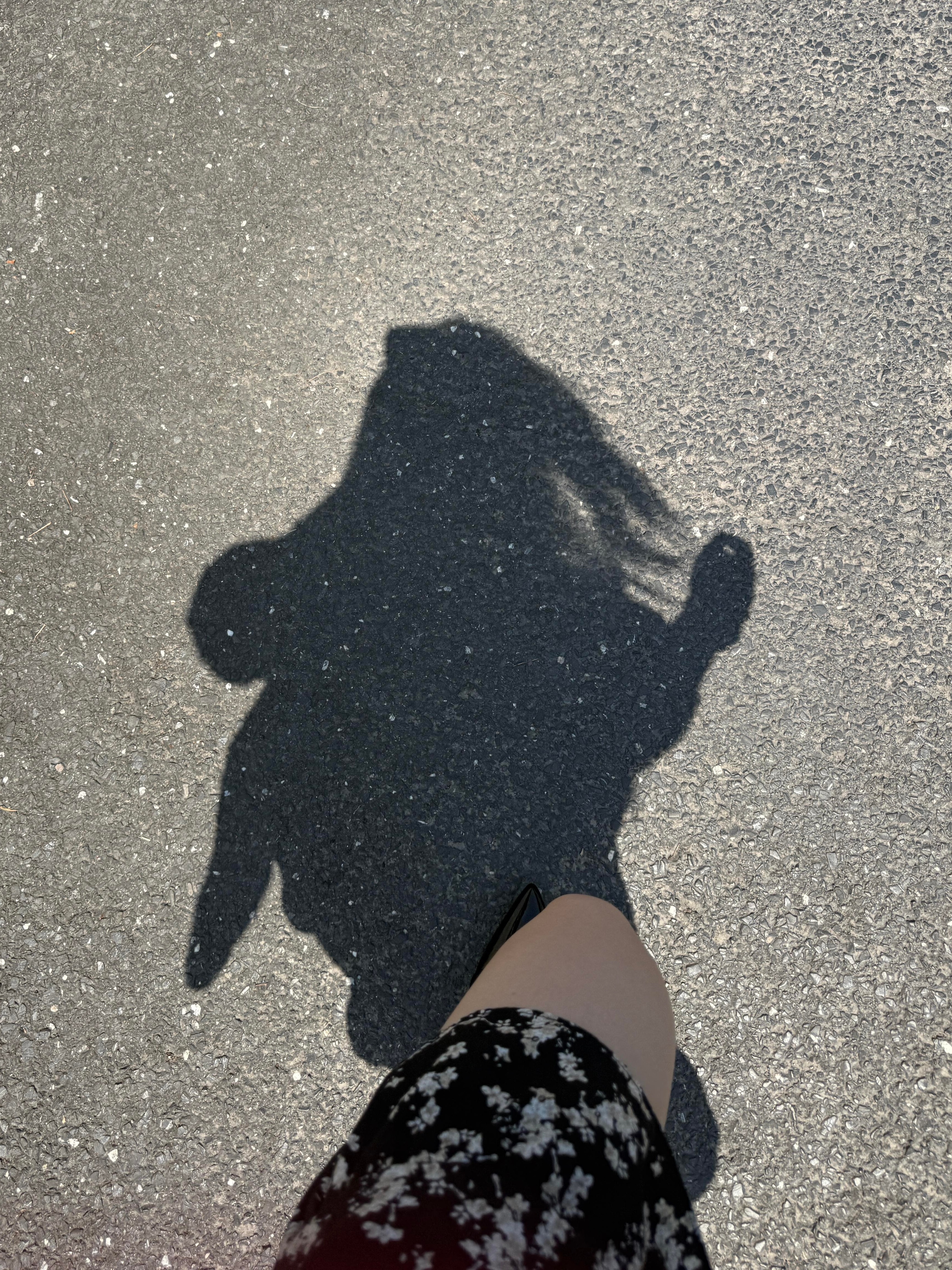 生活必经的七个状态: 哭了,笑了,累了,怕了,认了,懂了,变了。 