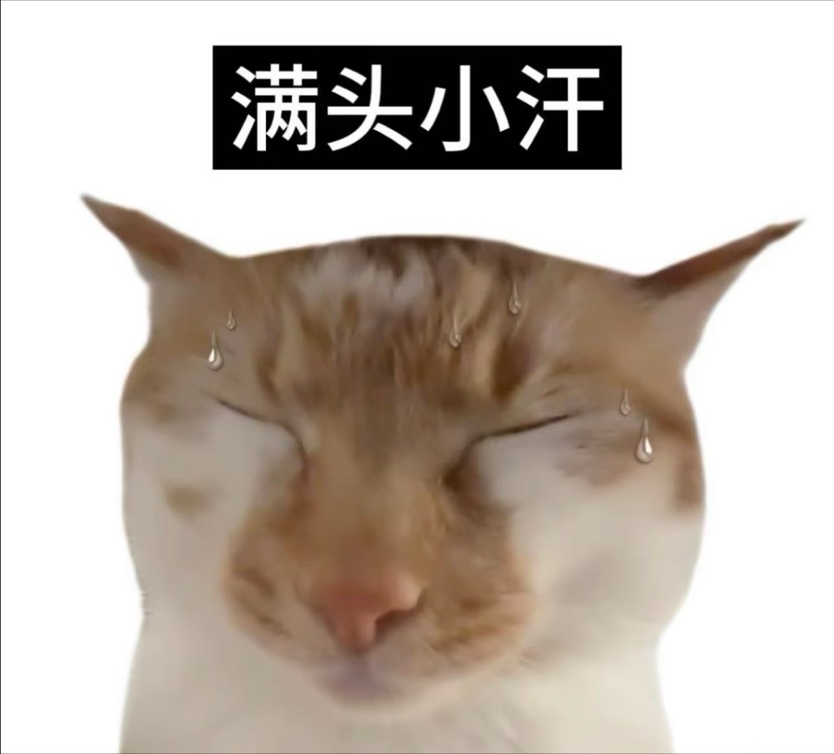 不用因为cj就关注我，我会设置所有人都可参与。我的耗经不起折腾 
