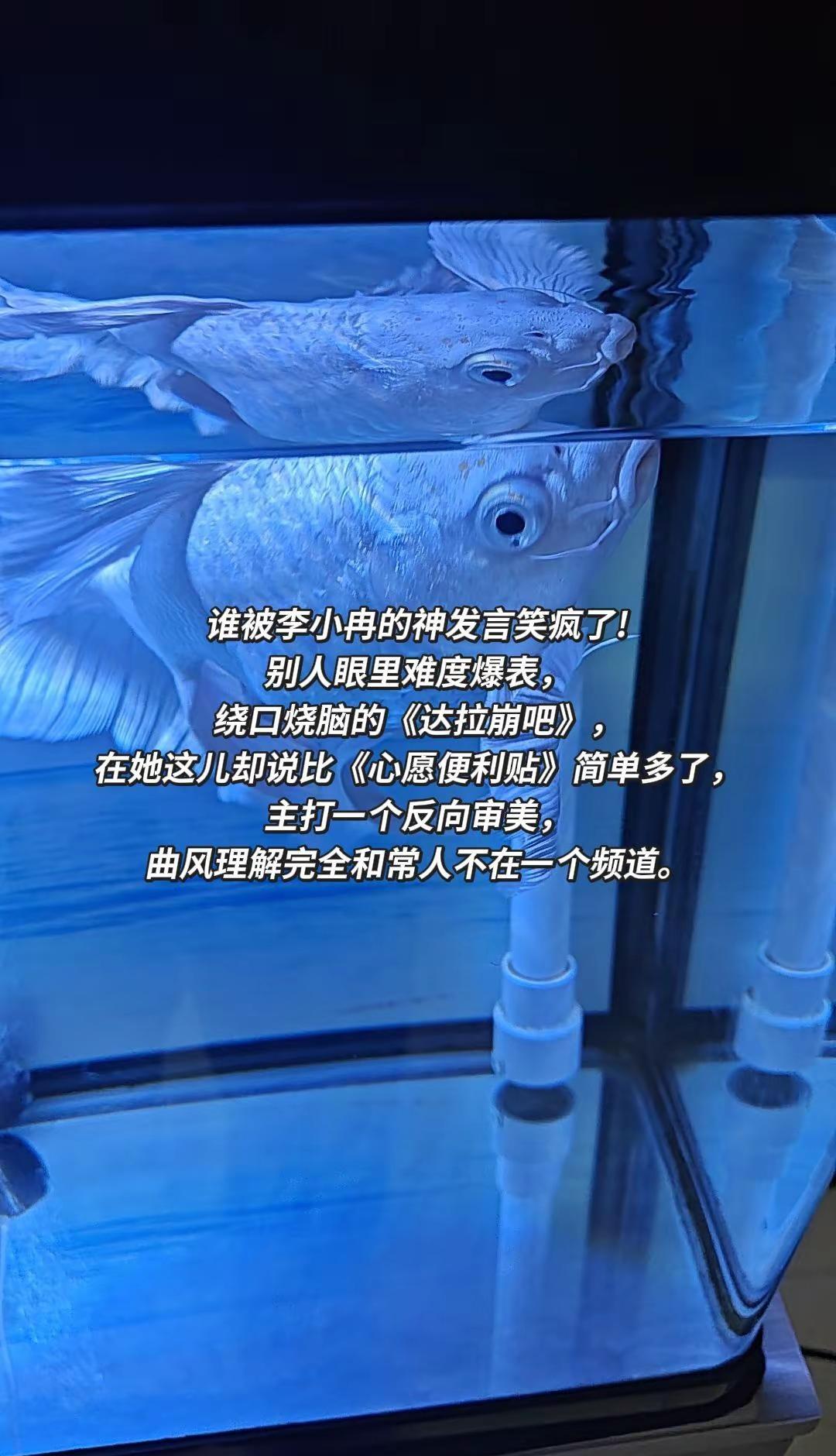 谁被李小冉的神发言笑疯了!别人眼里难度爆表，绕口烧脑的《达拉崩吧》，在她这儿却说