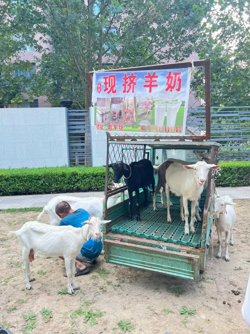 生活在远郊小镇的最大好处就是可以每周一两次早上逛一下乡村市集，采买附近村子里农民