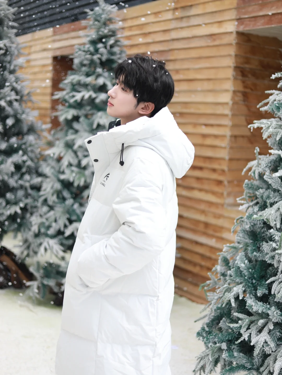 𝐒𝐧𝐨𝐰 𝐥𝐢𝐠𝐡𝐭𝐥𝐲 ❆