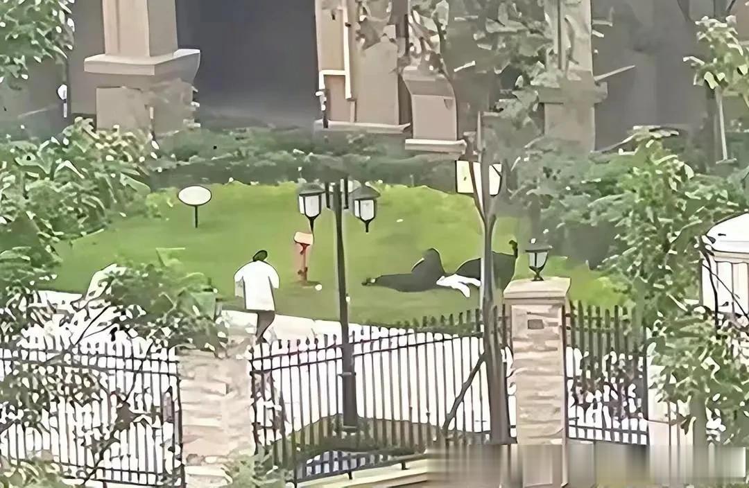 成都2岁女童被恶犬撕咬，右肾被咬掉一半，有网友指责这位母亲，第一时间没有去打狗的
