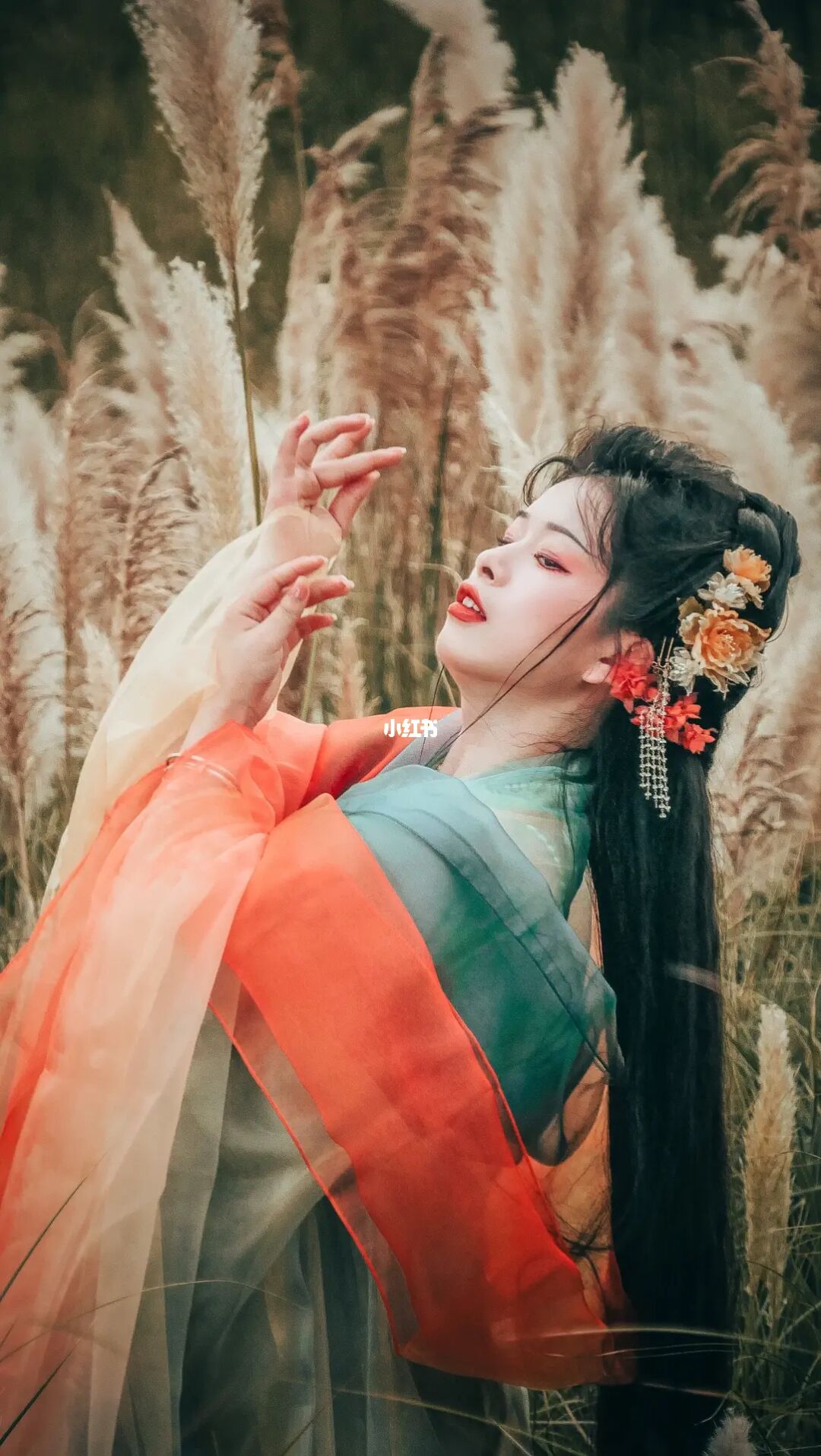 想去草海湾公园必看，宝藏景点揭秘🌈❤️