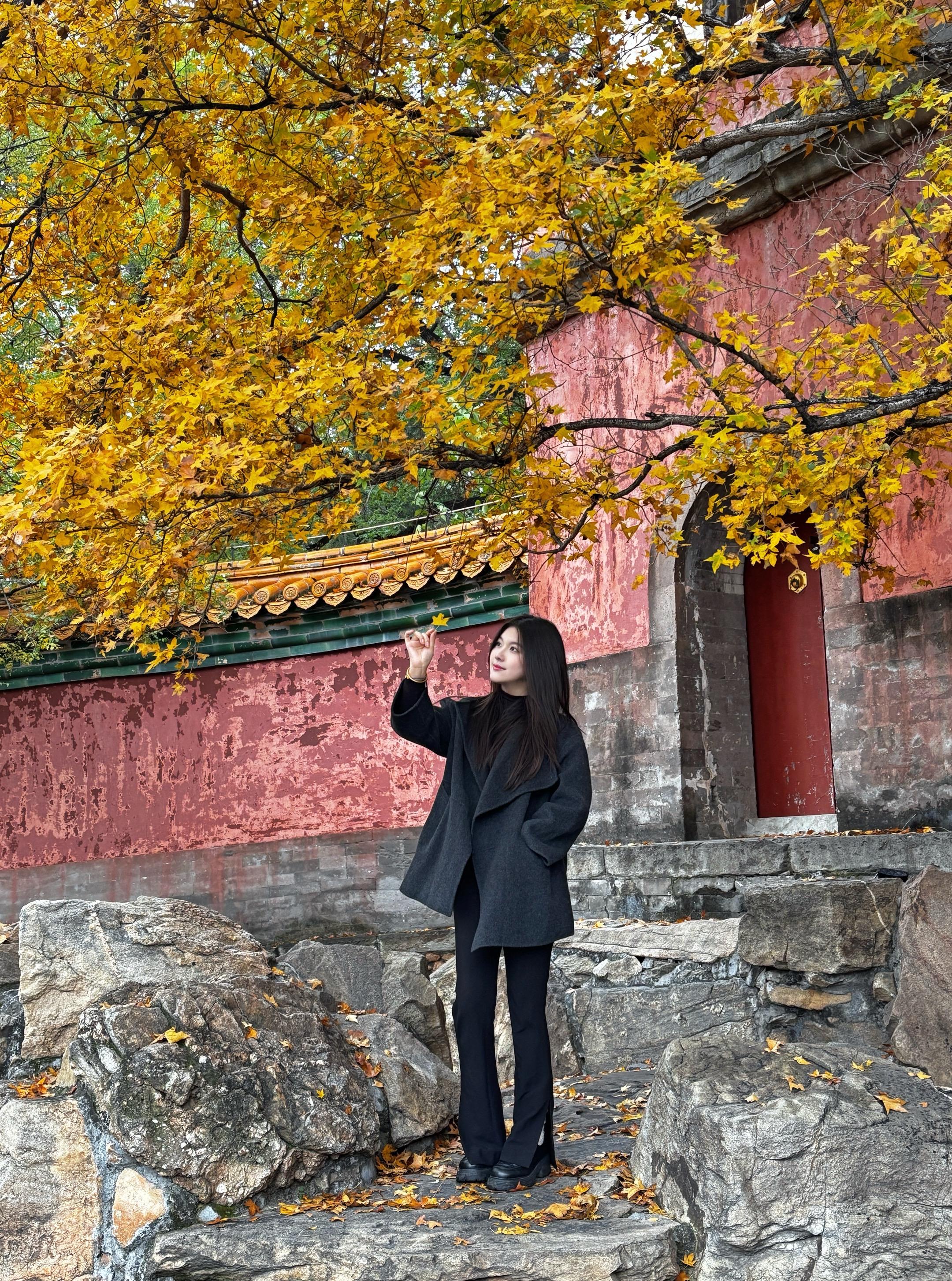 语文课本说：北京的颐和园是个美丽的大公园