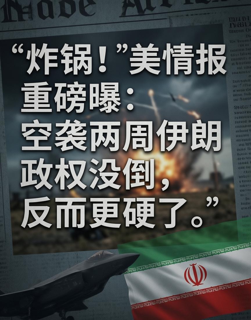 美国情报机构的最新评估，给美以刚动手两周的空袭行动泼了一盆不小的冷水——结论有点