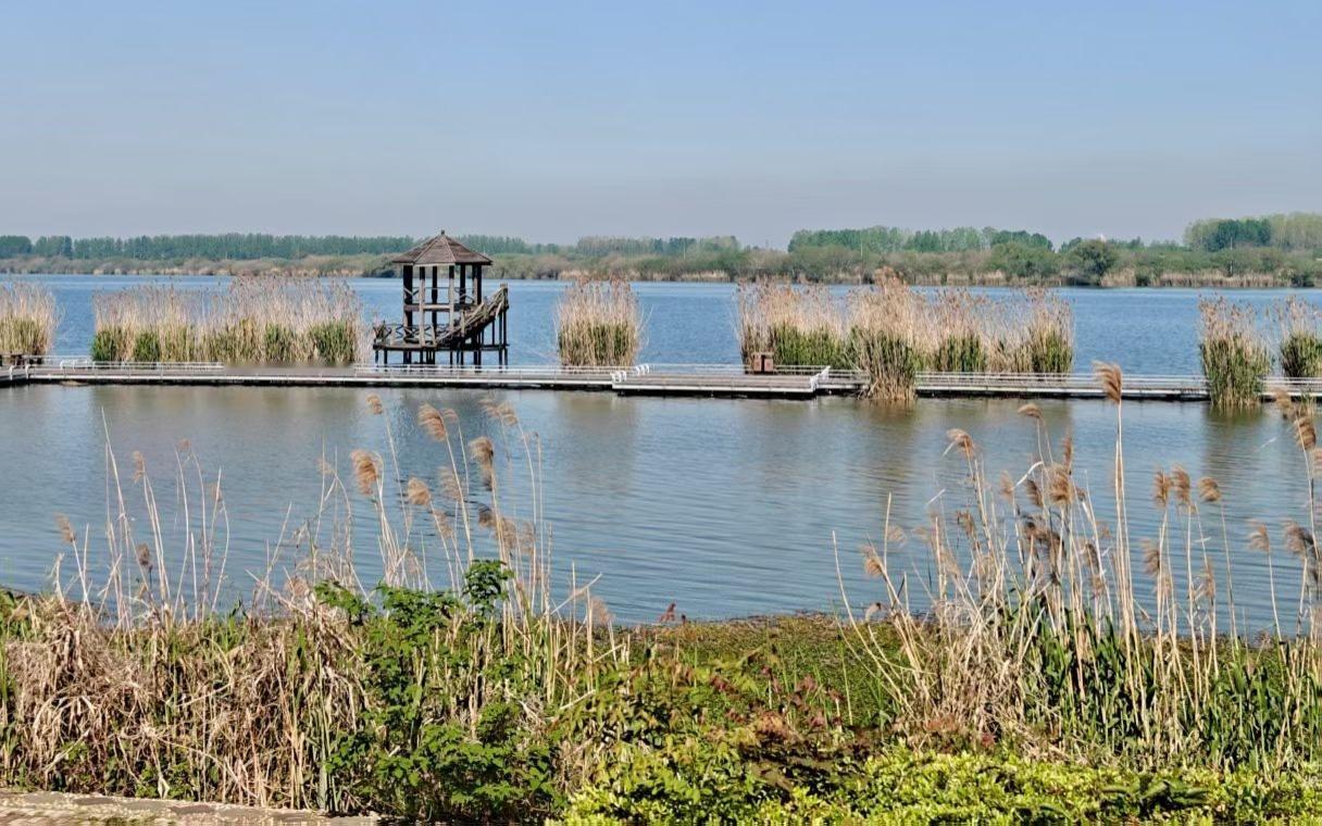 美景图片分享春日的风，吹过芦苇荡，也吹皱了一湖春水。木亭临水而立，安静地守着这片