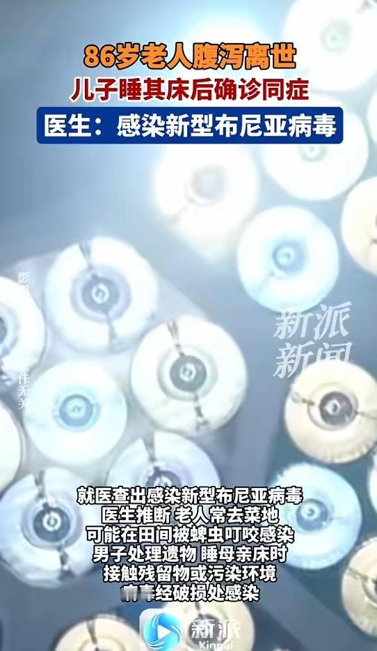 浙江86岁老人被蜱虫咬后离世 儿子睡亡母床被传染：浙江陈先生86岁母亲常打理菜地