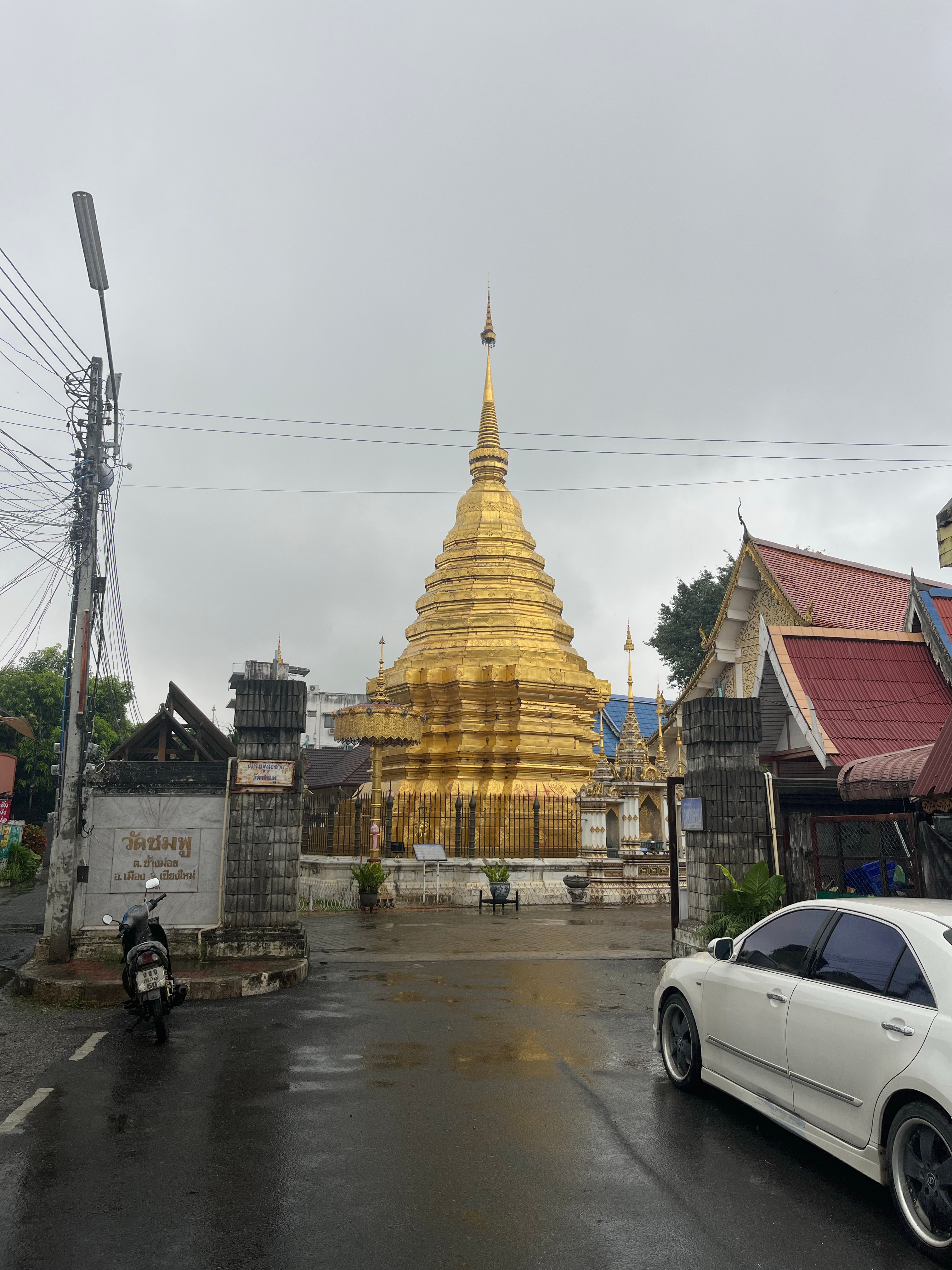 和几个讲英语的当地人聊了聊，有个事情挺有意思：清迈定居的日本人并不多，但日本饭馆