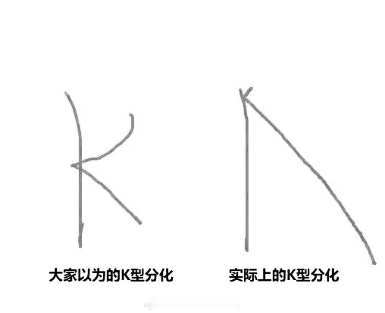 你以为的 K 型分化，实际上的 K型分化。能持续吗？ 