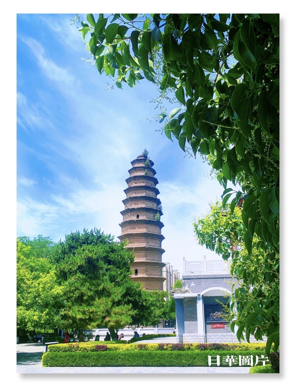 塔影映碧空，绿意满庭中。
