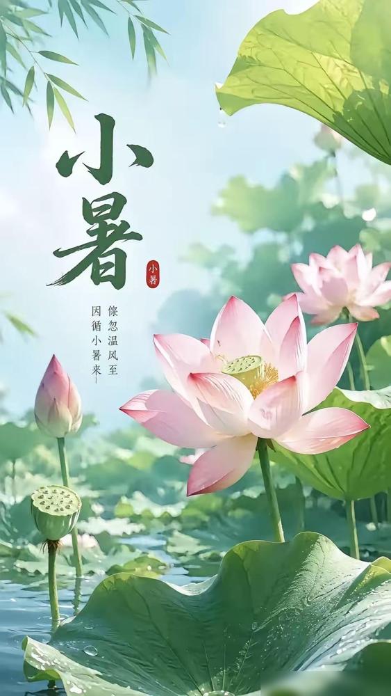 “不怕小暑阴一天，就怕小暑一天晴”，小暑，小暑晴天有啥预兆？

我老家河南农村的