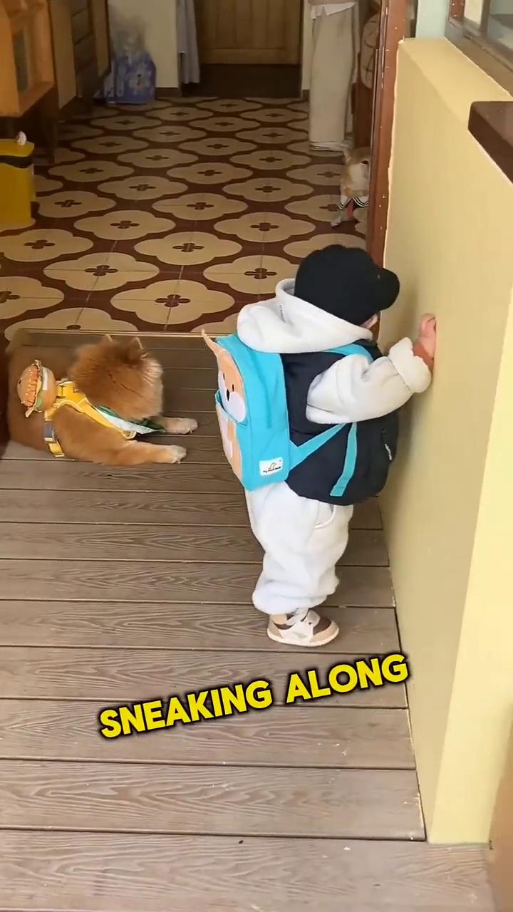 EVEN THOUGH CLEARLY AFRAID。
HE DIDN'T PA