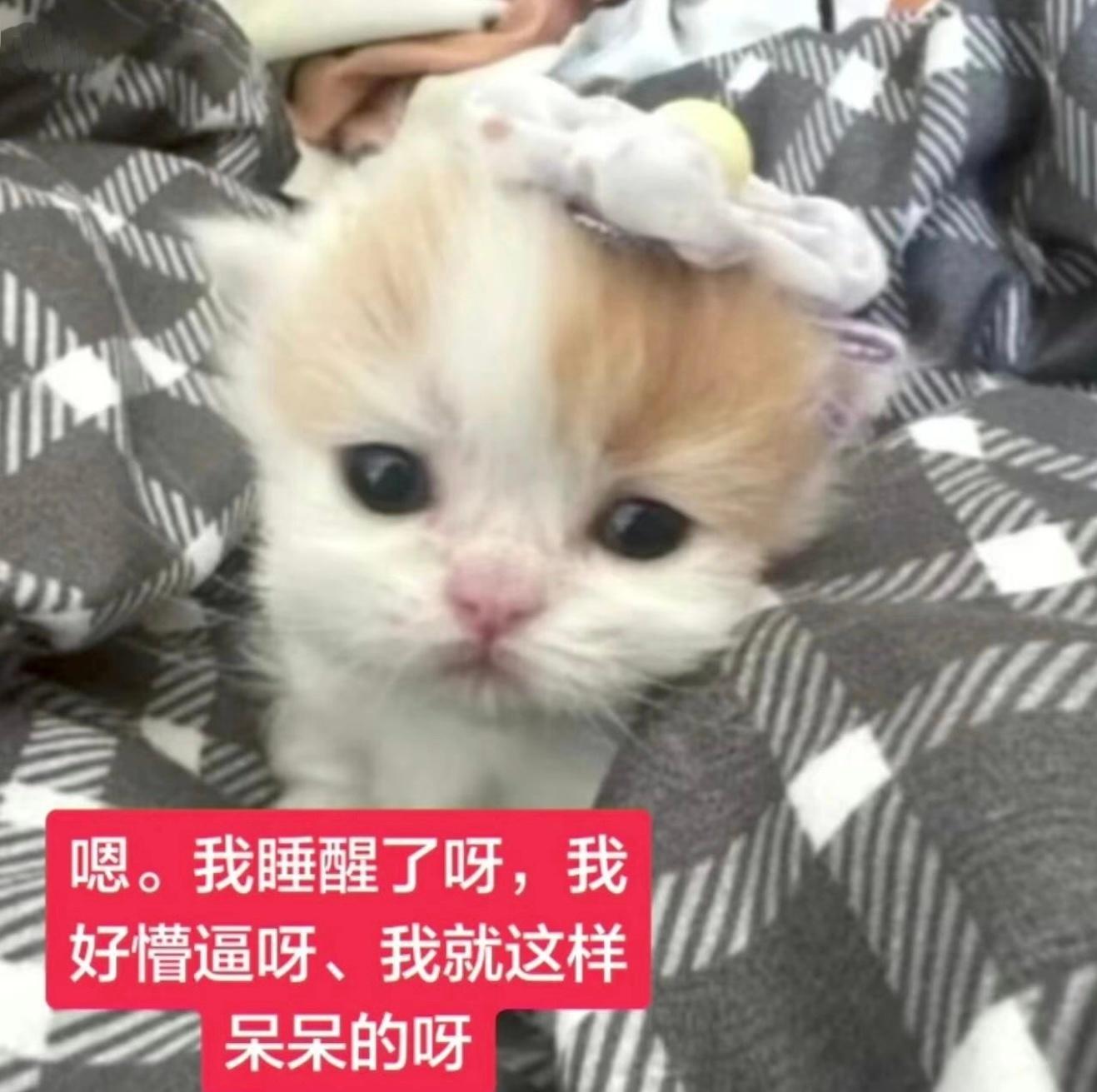 卧槽。。吓死我了，早班机回国，4点睡着6点睁眼，脑子懵懵的发现护照没了，吓得我冷
