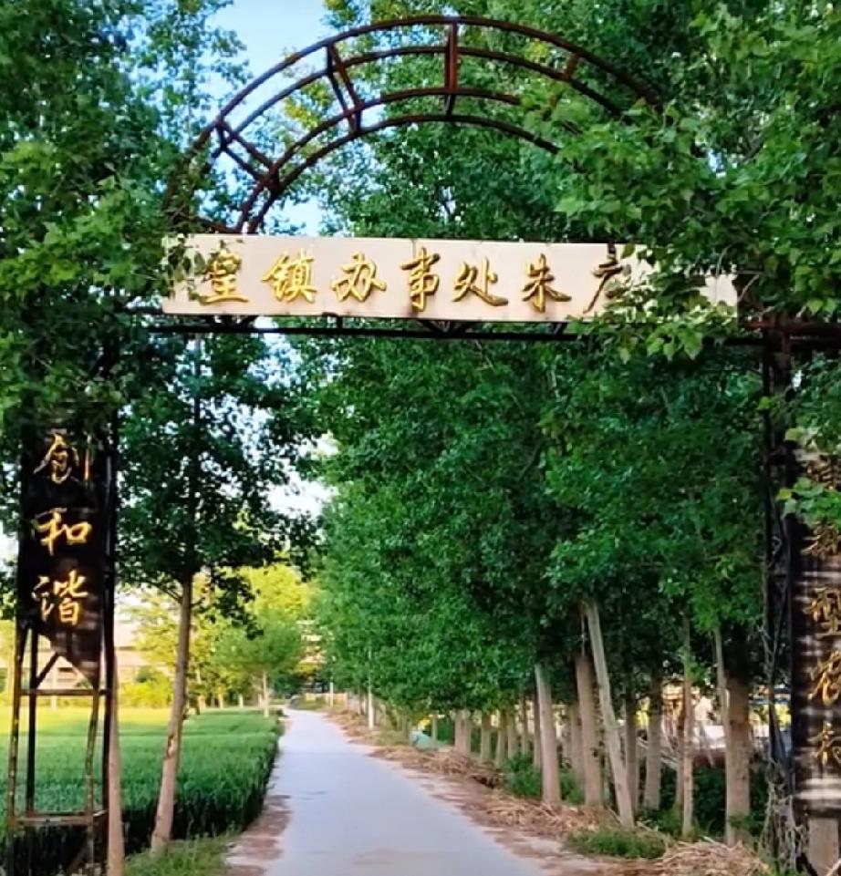 牡丹区皇镇街道朱庄 
位于皇镇集北2公里，南邻邢楼，北界安兴镇。村呈长方形，东西