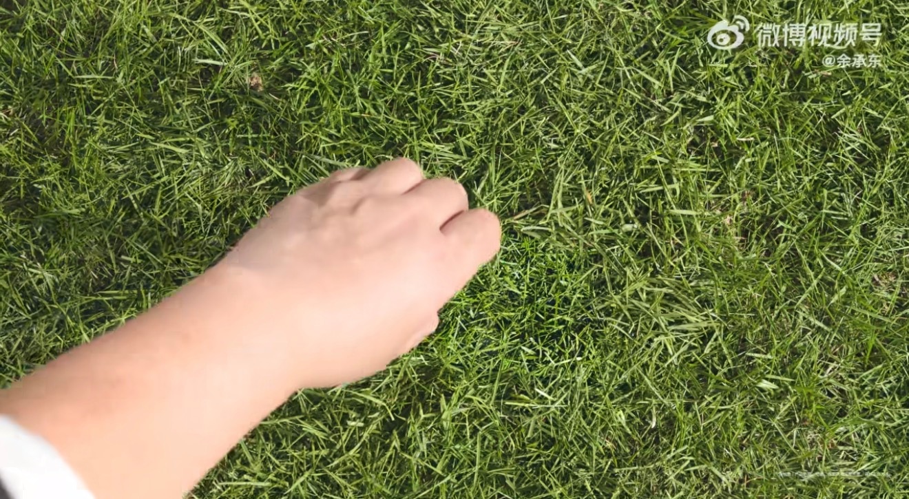 别只盯着外观和影像这次屏幕也是重点要亮出新高度 色彩还原更真实 