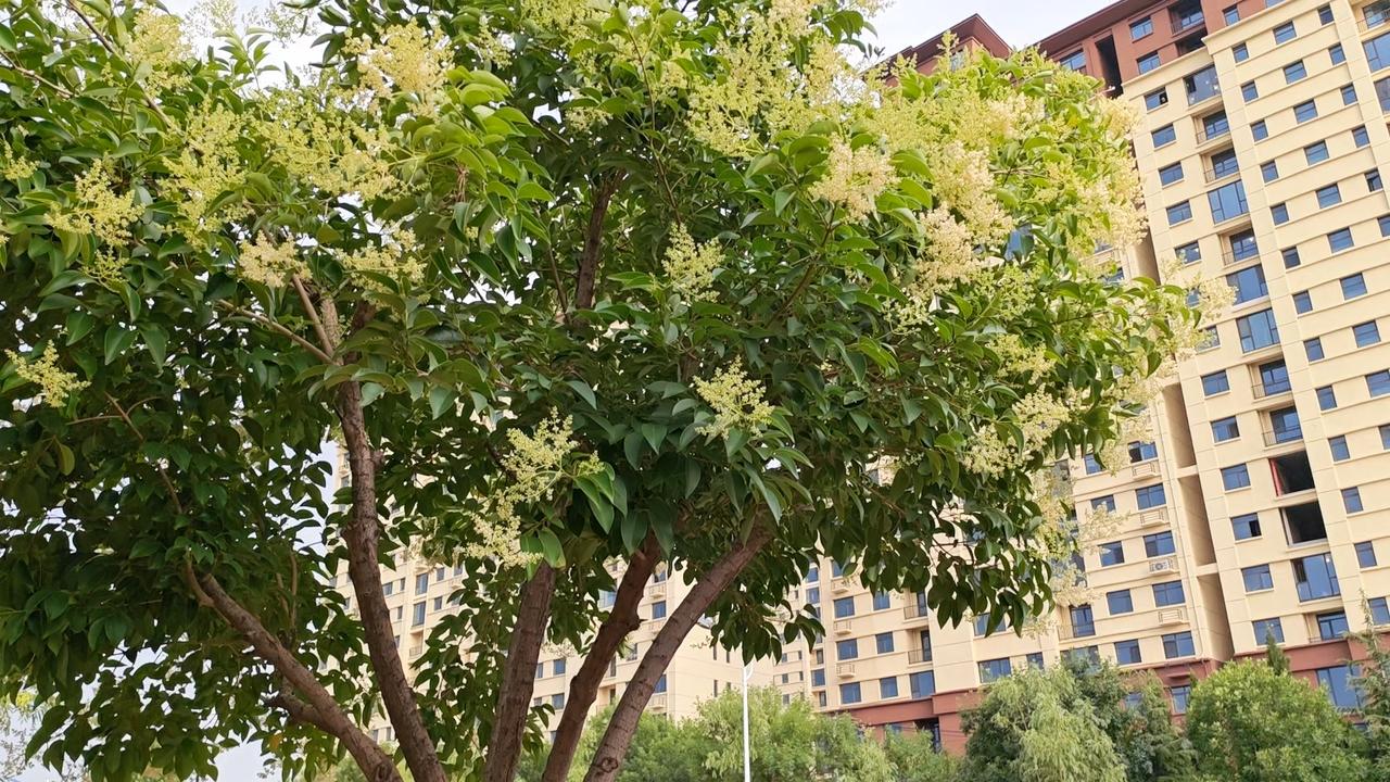 一位著名经济学家说：“没有子女，你就是社会最底层人，没有人保护你。你将来想去养老