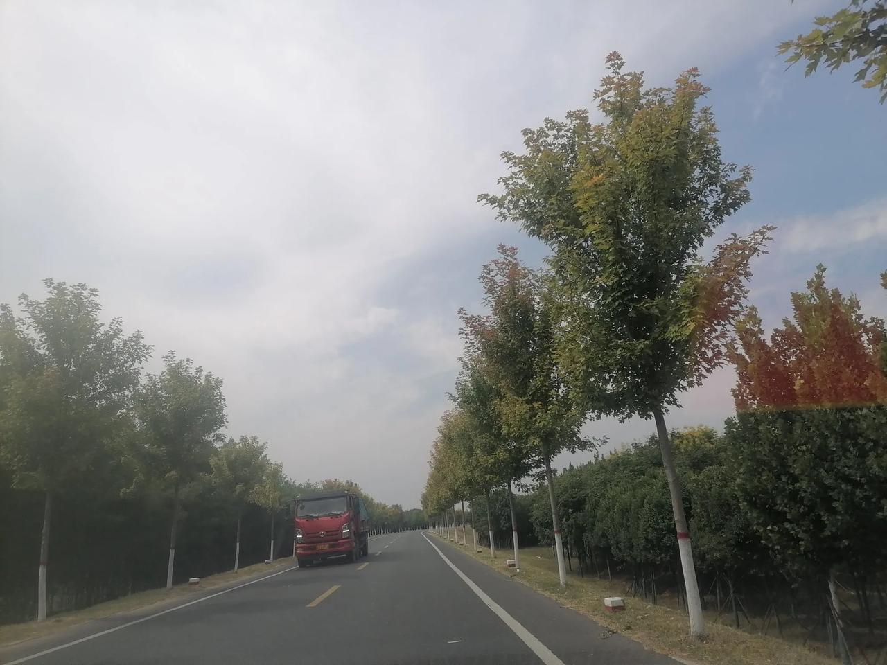 目前中国要想缓解财政压力，我提几点建议不知可否：
1.简政放权，精简管理人员数量