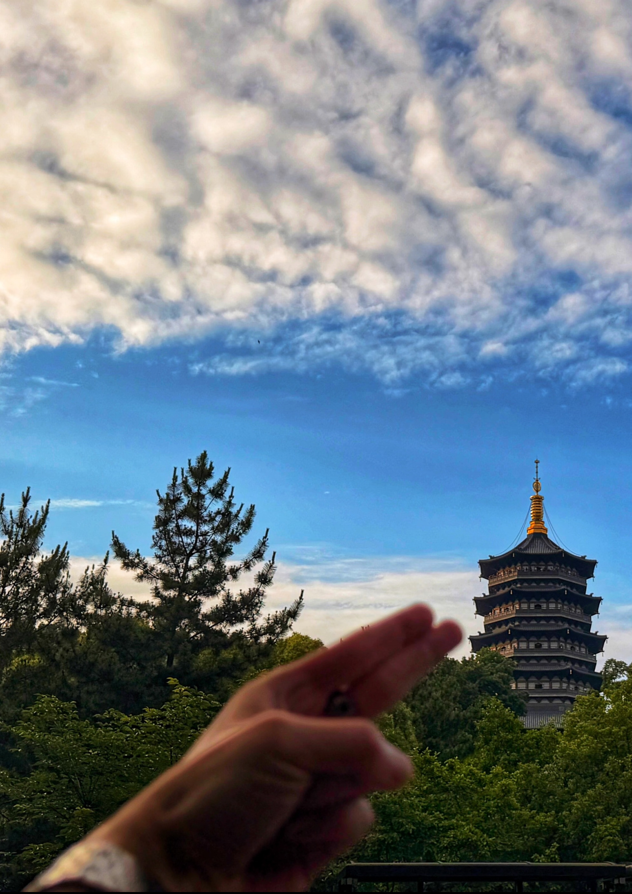 帅哥是戴手表了吗🤩 