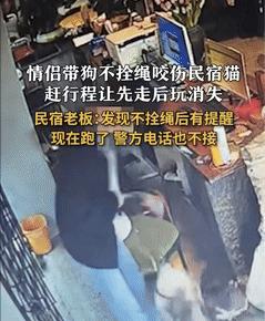 “跑得了和尚跑不了庙！”10月15日报道，湖南张家界，一对小年轻带着自己的两条宠