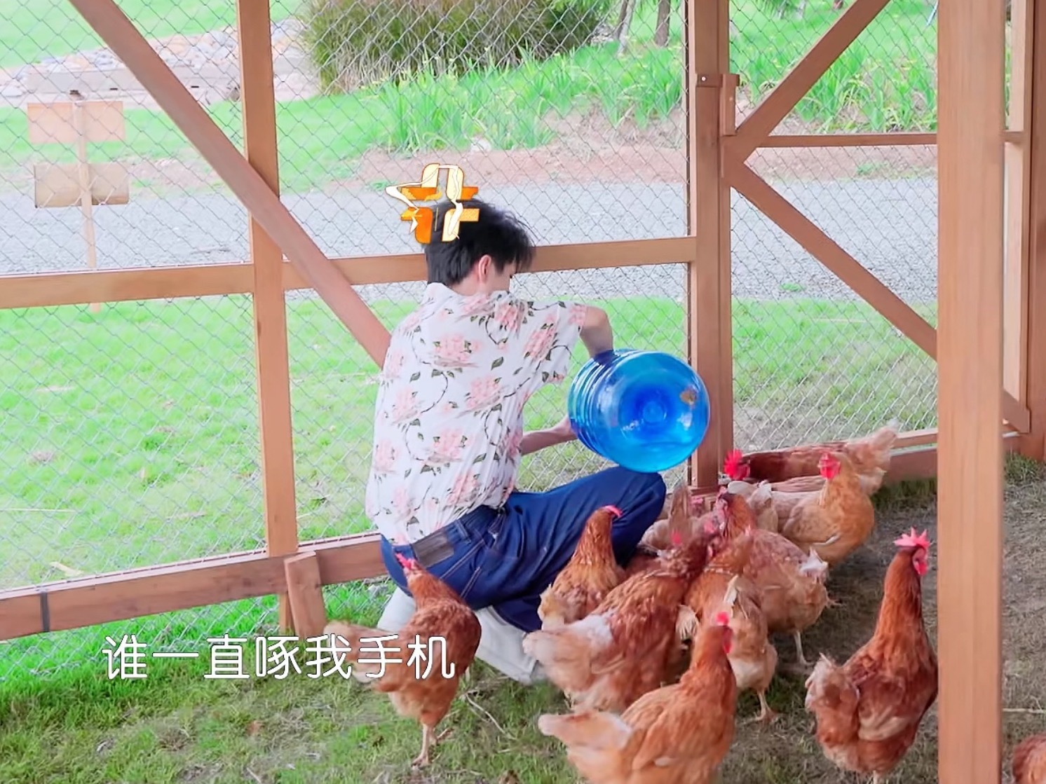 人家啄他皮鼓他还以为是在啄手机王俊凯中餐厅10