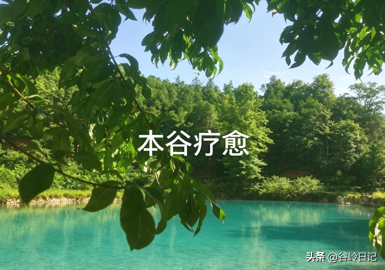 本谷疗愈 · 全国联营服务中心合伙人招募通告：

不是加盟，不是快钱。
我们寻找