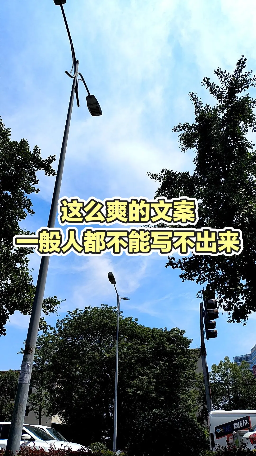 每日分享
