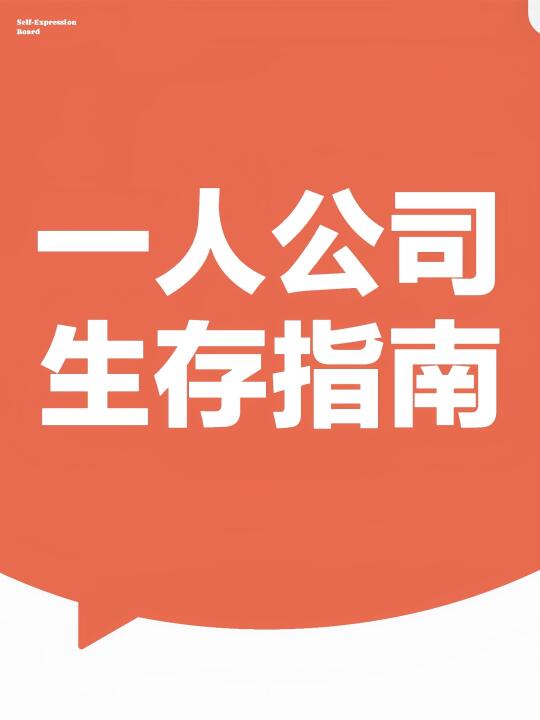 一人公司生存指南