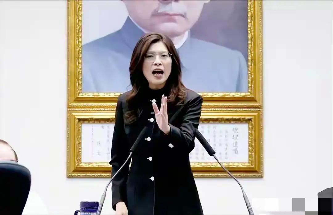 郑丽文直言希望能参与维护美国“第一岛链”，得到安全保障承诺。
2026年4月底，