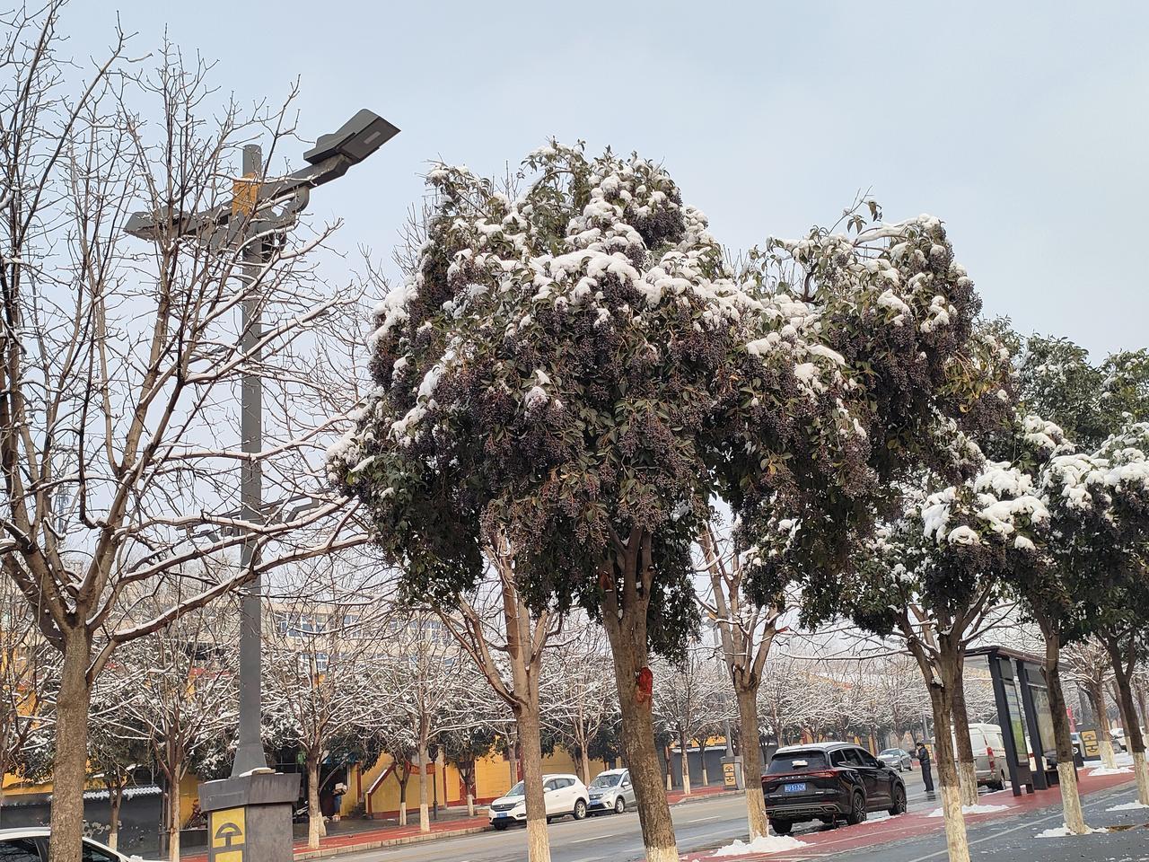 事与愿违，或许是更好的安排？
 
年轻那会儿，我总觉得人生就得按部就班，按着自己