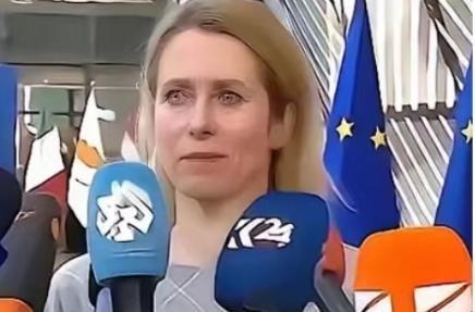 欧盟的官宣再次震惊了全世界：从今年开始，一切与中国有关的科研机构，都将没有资格参