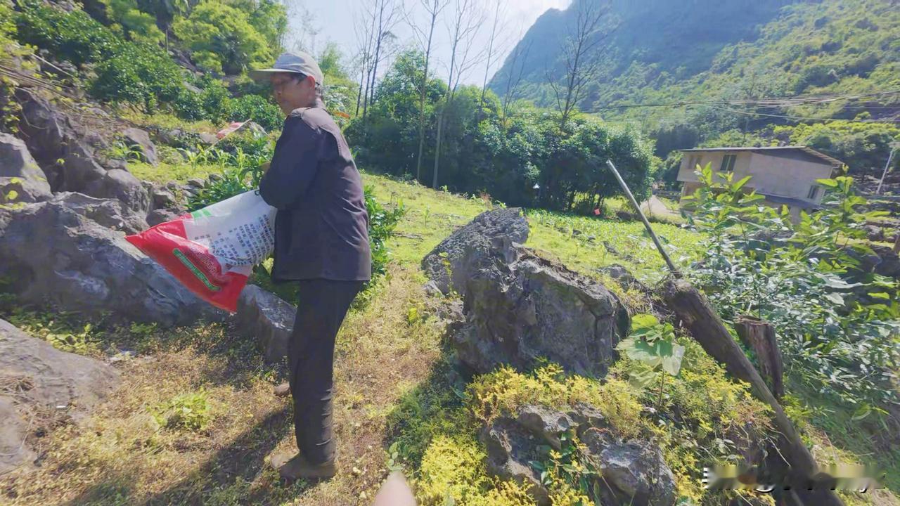五一假期过一半，今天我睡了一天没出去，出去的那一下也就去药店买了一瓶胃药。

这