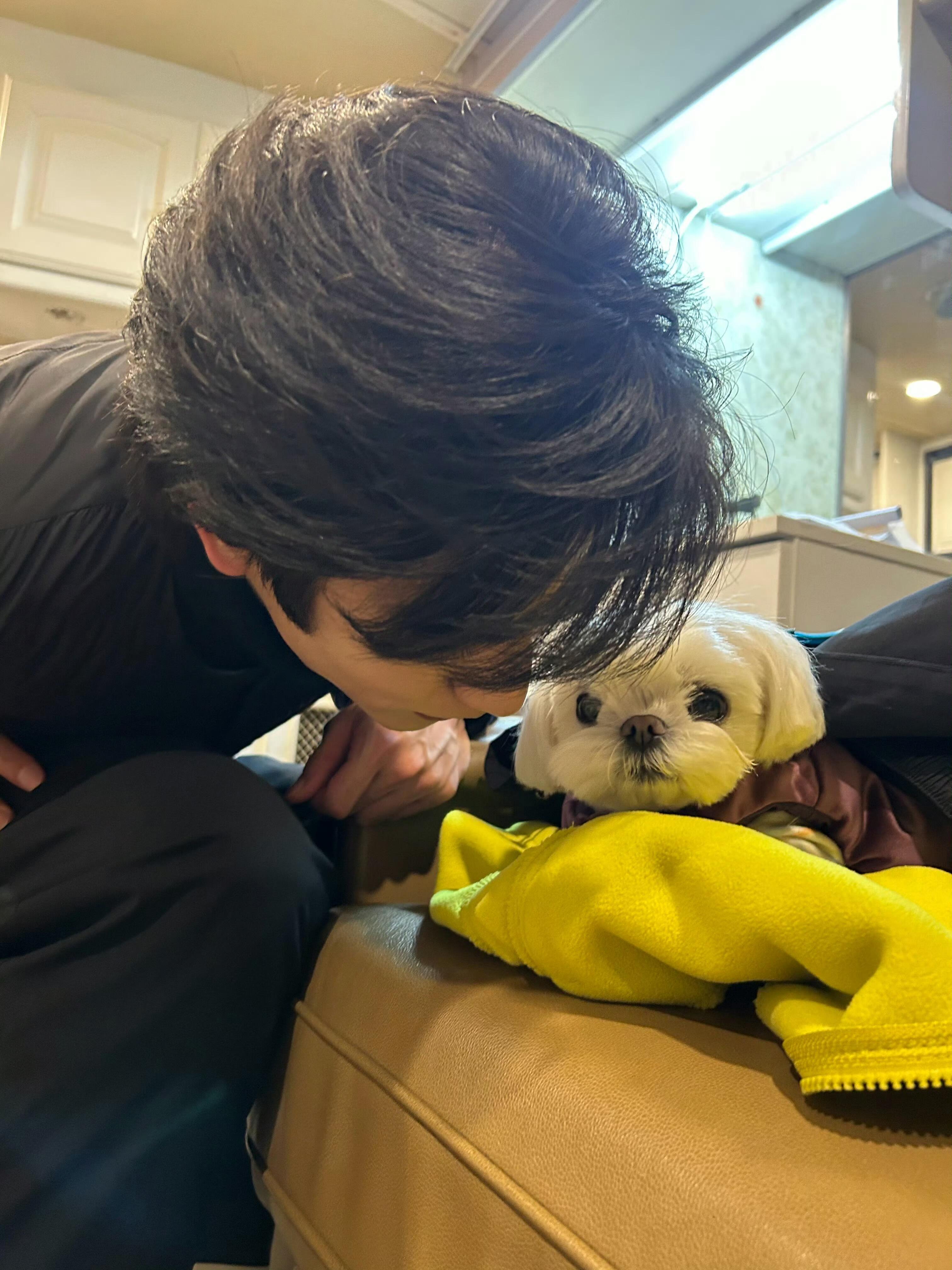 爱你为小动物低头时垂下的发丝 