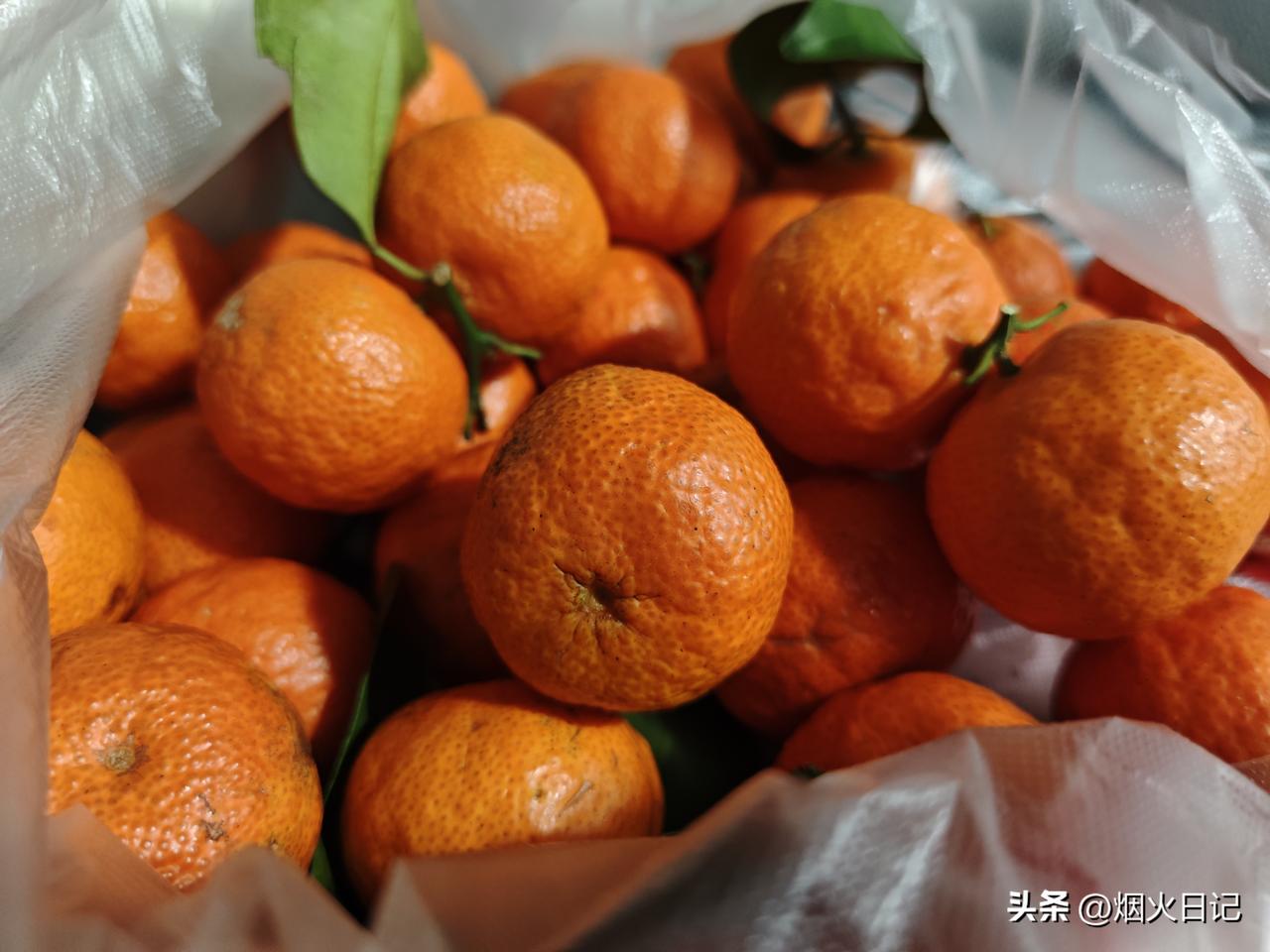 这个季节的水果，我只服沙糖桔

这个季节还真是不知道吃什么水果好，看来看去也只有