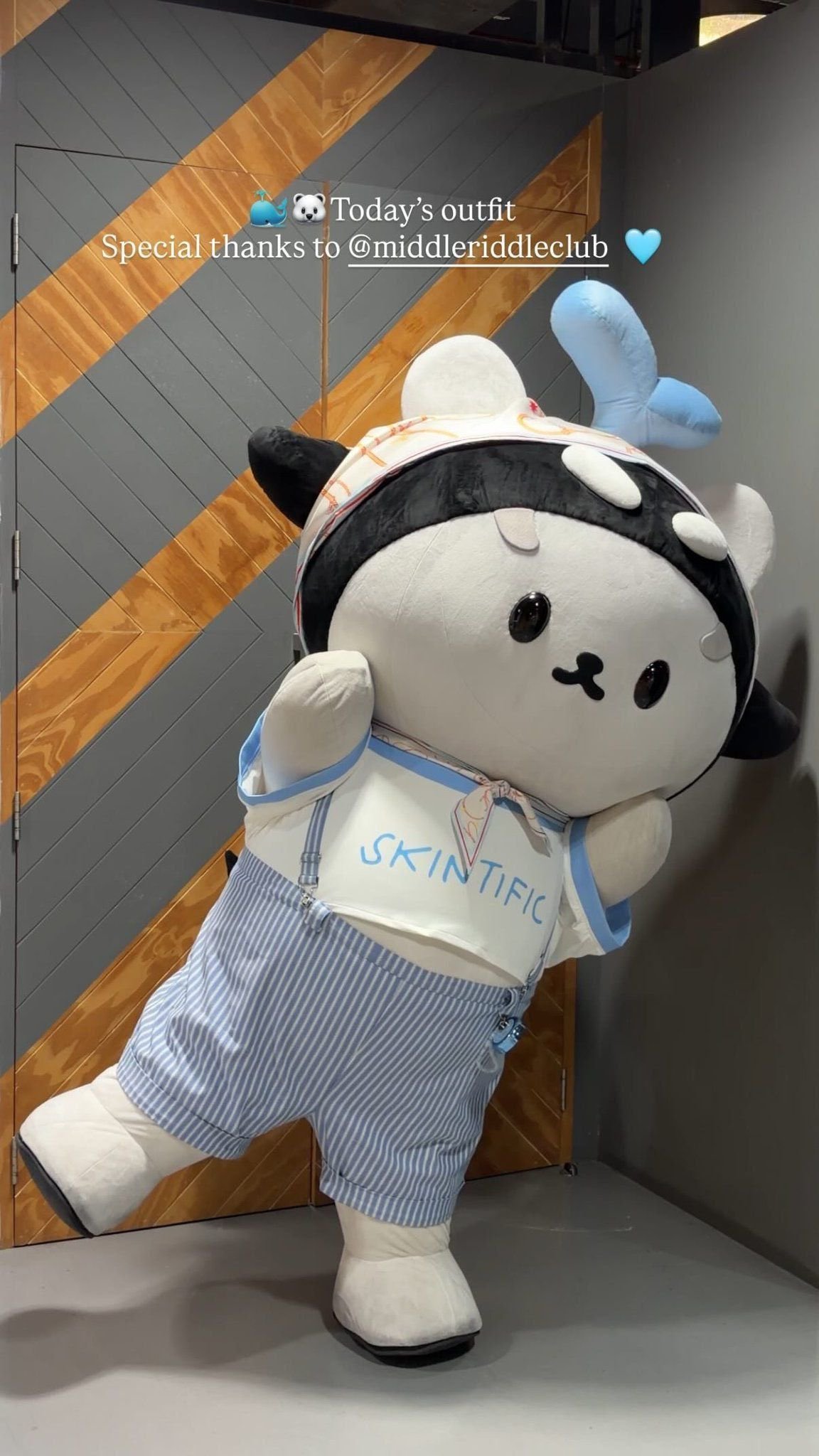 老莎自己穿骚衣服就算了 给san穿的也是露肚子装 我笑晕 莎姐姐赚了多少同事钱 
