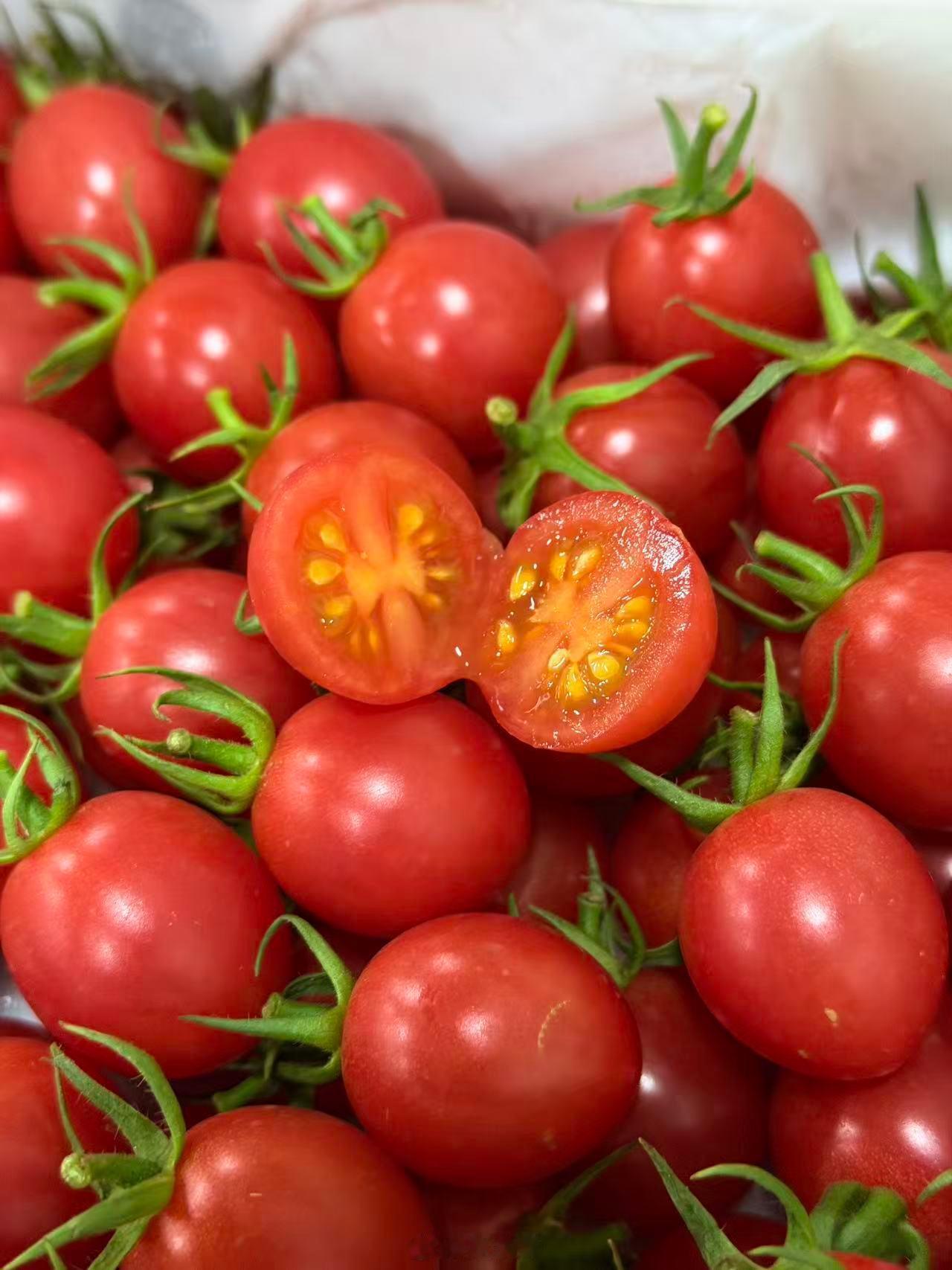 俞锋有话说 鲜红透亮的千禧圣女果，皮薄爆汁、甜润浓郁，一口咬下满是维C与番茄红素