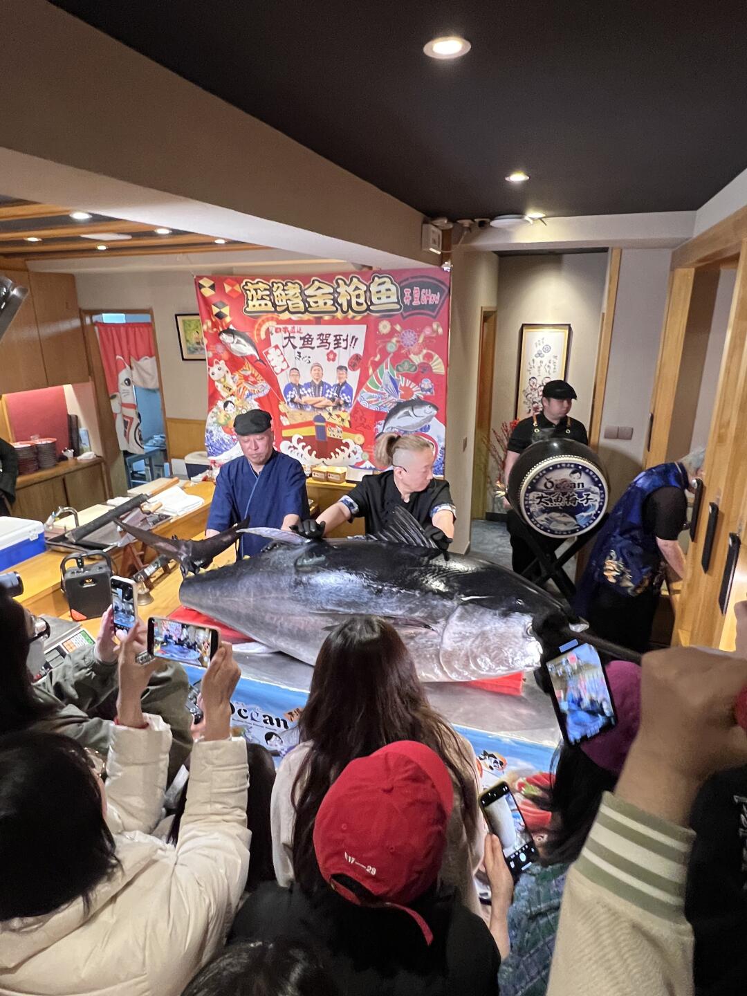 大连日料一条街，竟然碰到了开鱼宴！