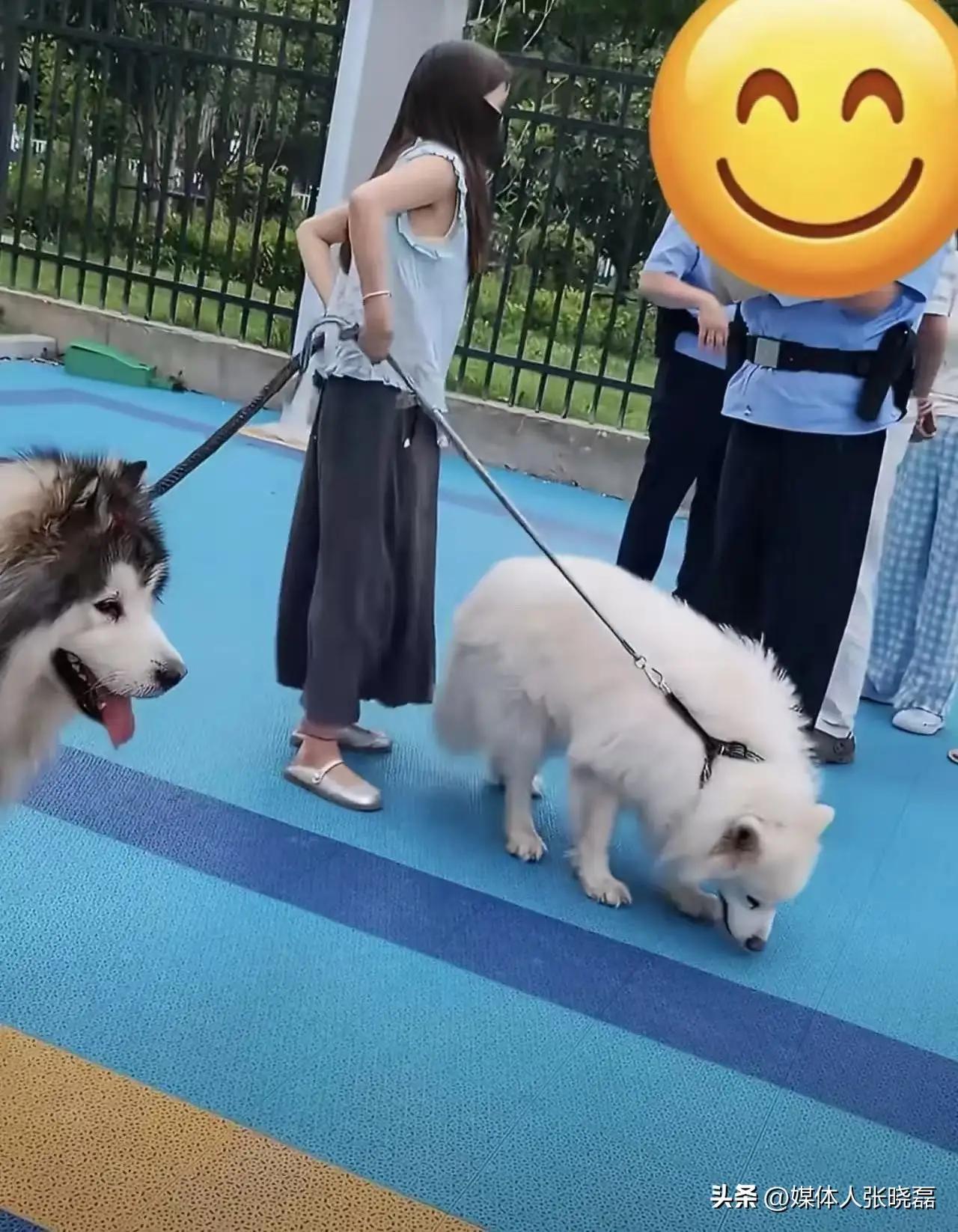 “我不是道歉了吗？凭什么赔钱？”女子遛狗不拴绳咬伤孩子，一句话惹怒全网！

你敢