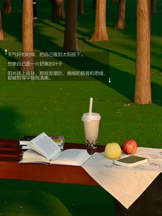 我会早上九点去公园读书。