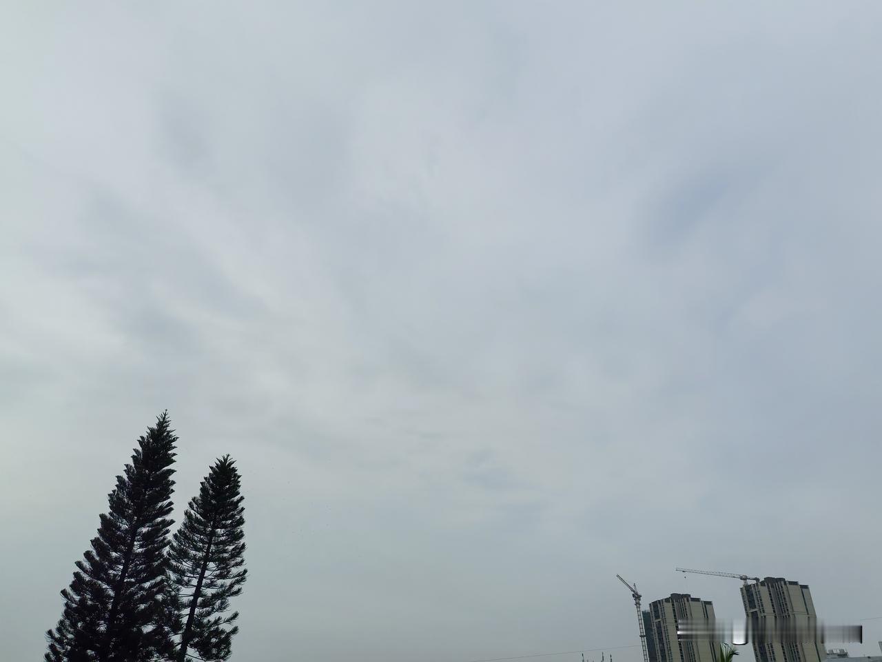 台风“白海豚”将向偏西方向移动！未来几天广东降雨仍频繁！

今年第13号台风“白