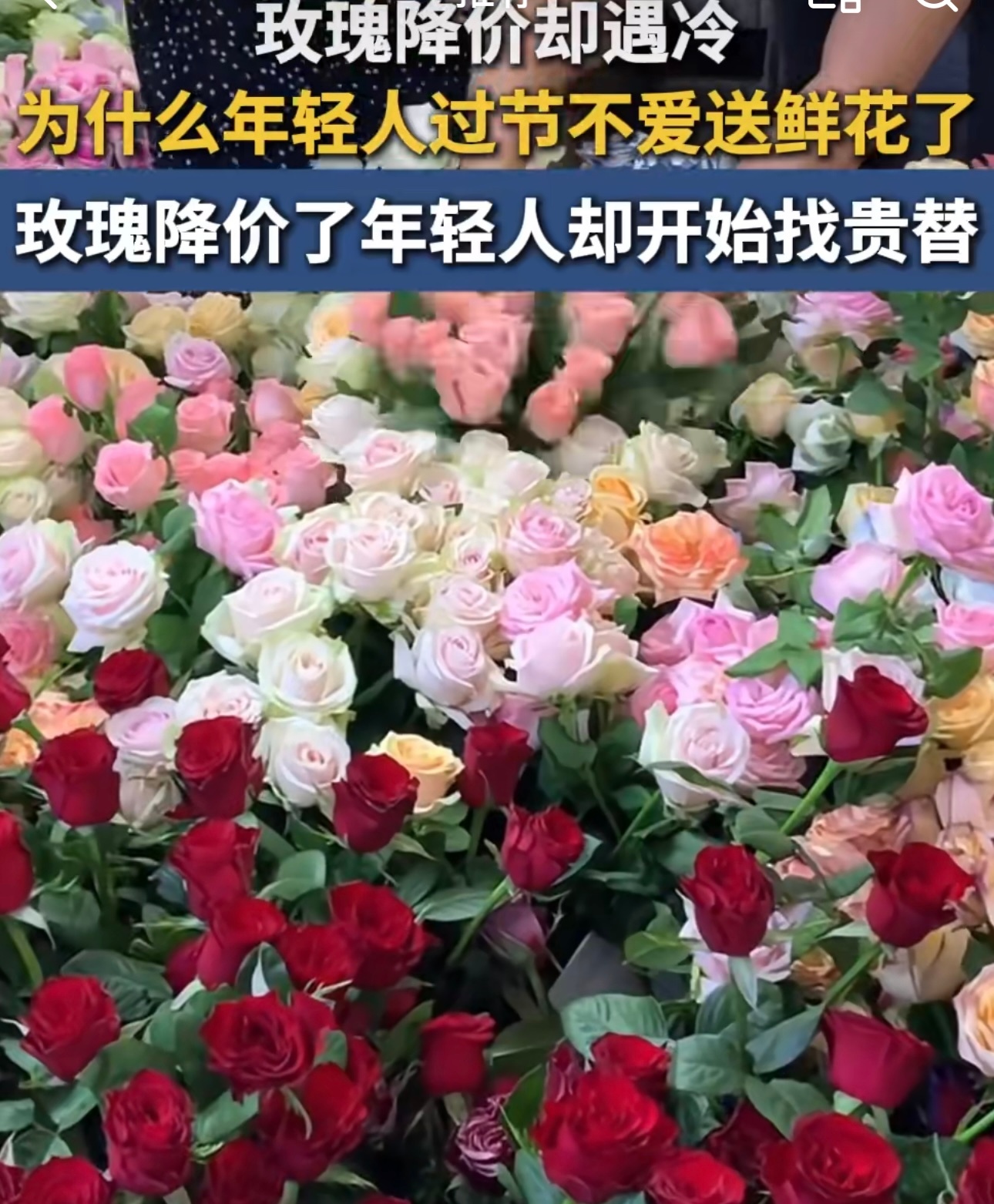 为什么年轻人过节不爱送鲜花了现在的年轻人，过节送礼不再只盯着鲜花了，鲜花价格降了