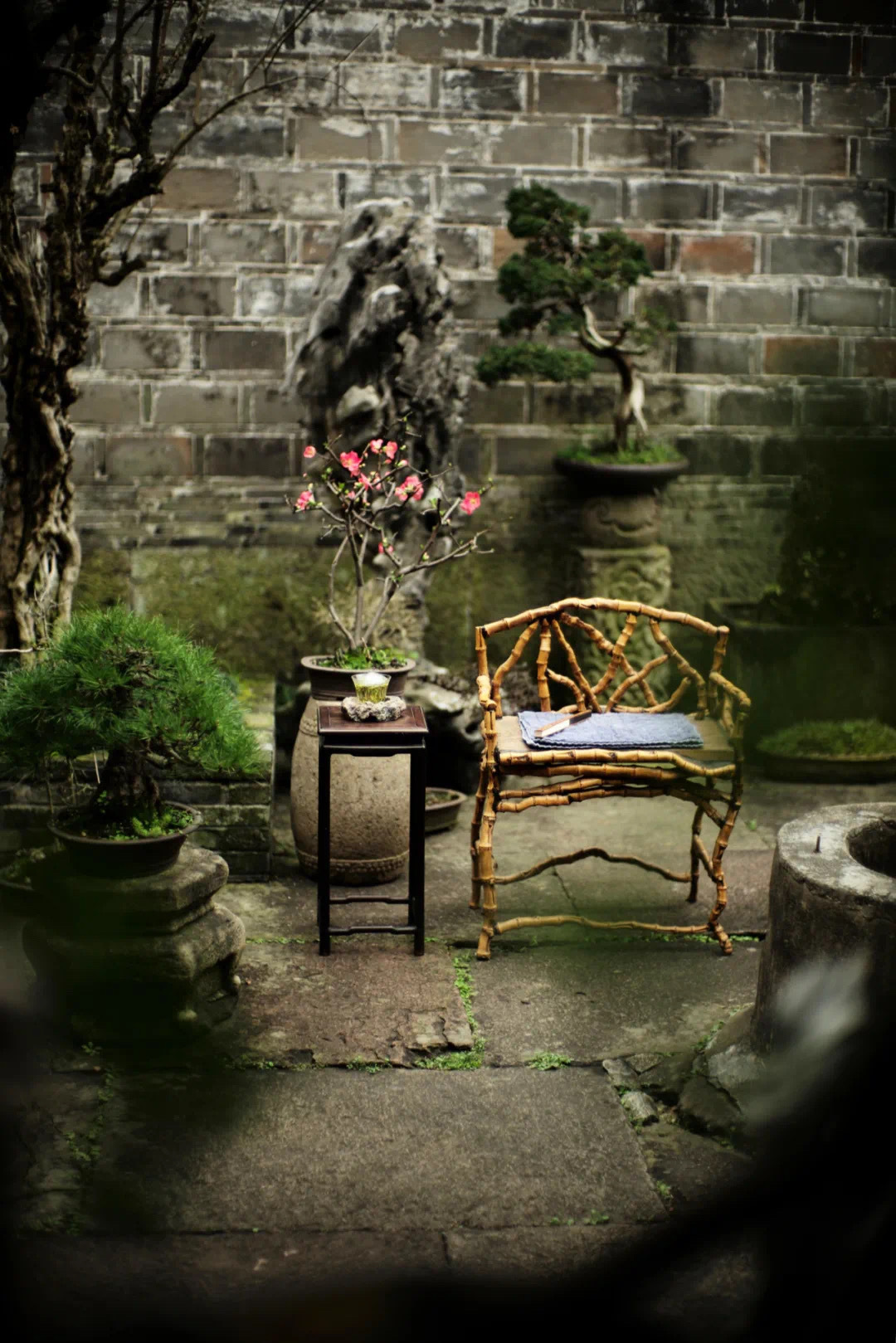 这才是治愈系场景，轻松惬意…#遇见艺术# ​​​