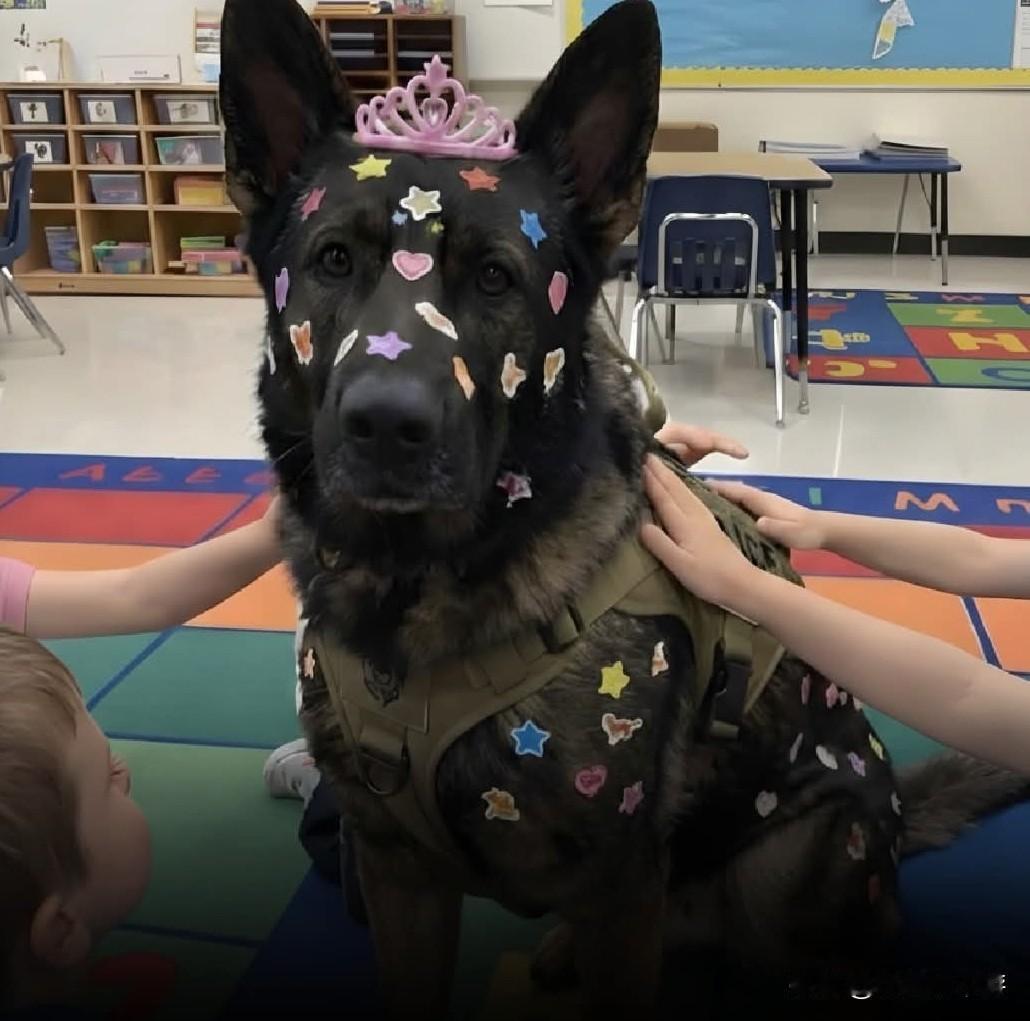 在美国的一次校园参访活动中，警犬K9 Blitz被一群幼儿园小朋友当成“贴纸黑板