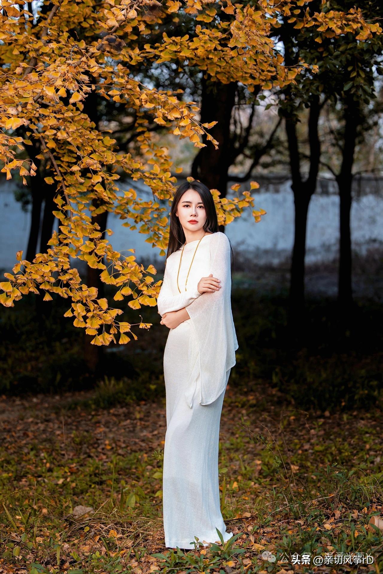 秋日暖阳下，白衣少女静立树旁，落叶纷飞，岁月静好。