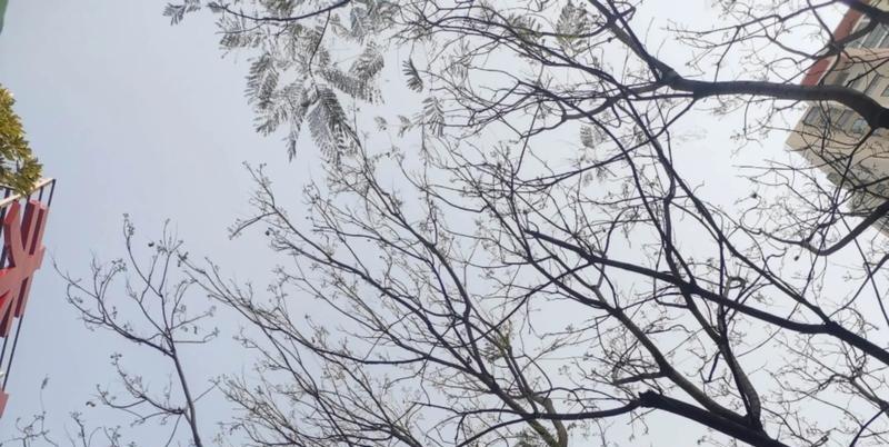 朋友不满周岁父母便离婚了，他爸一分钱没给过他，他现在当了医生，他爸又找他要求赡养