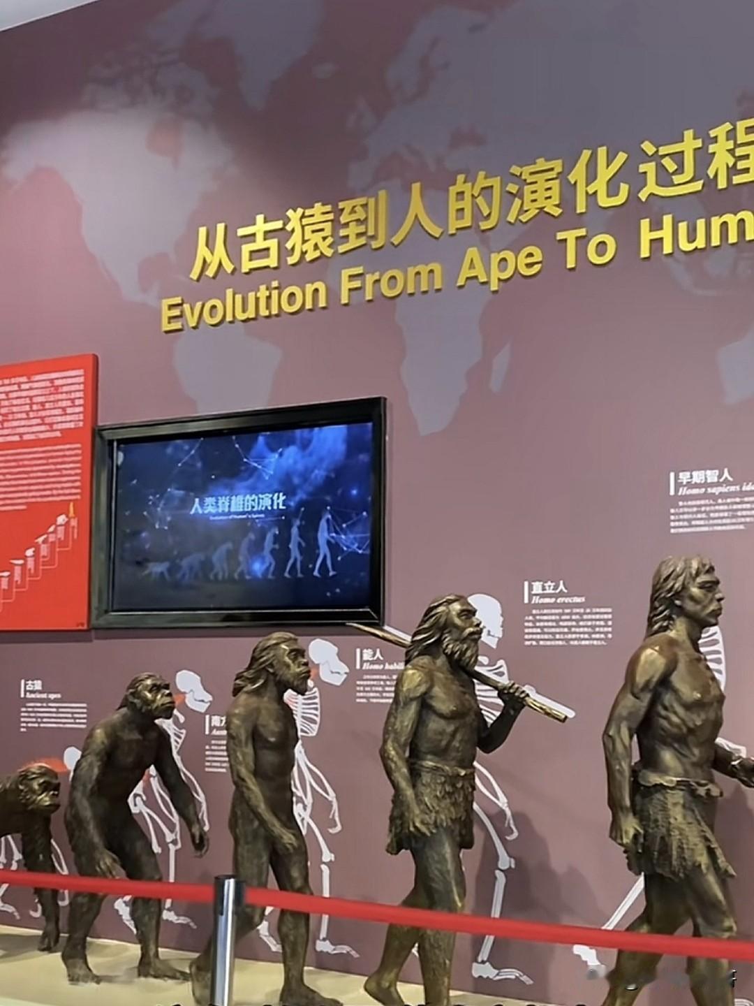 我一直有个疑问
原始社会之前的类人猿灵智未开
单靠几根骨头化石和简单工具，现代人
