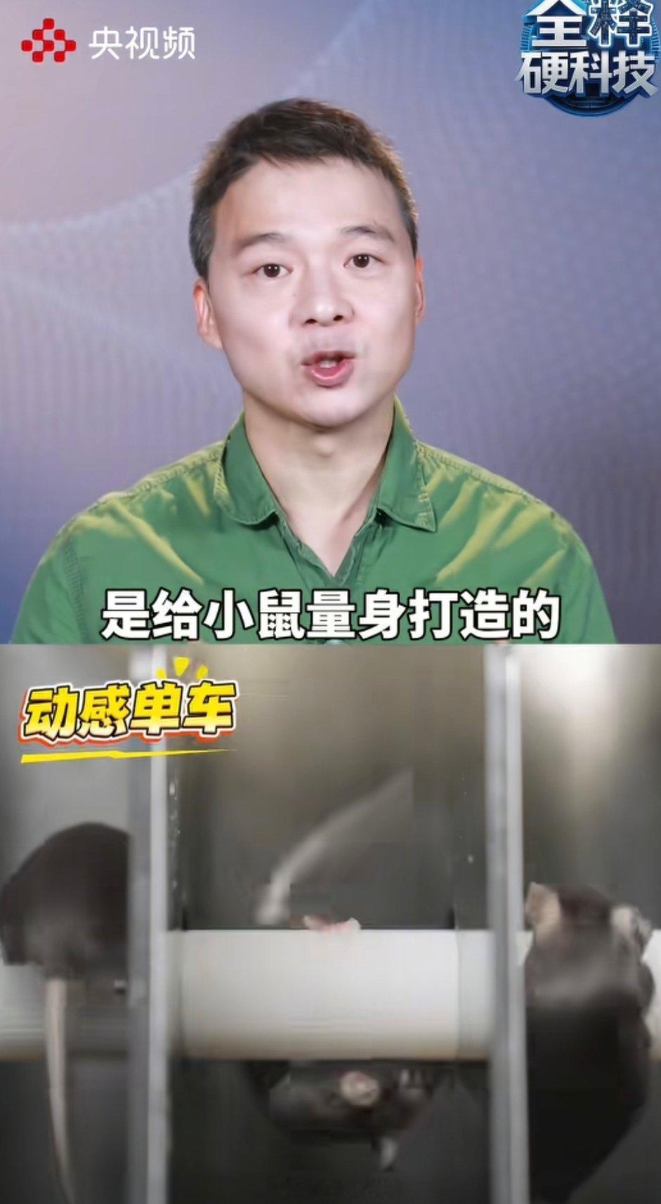 鼠鼠我啊要上太空了十二生肖排第一，有事了也是第一个上，这担当[赞][赞][赞] 