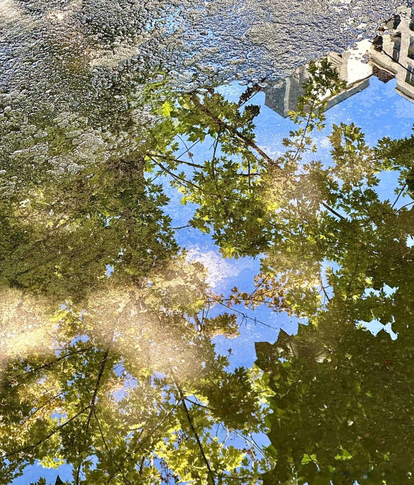 七点的光最是迟疑，在天边拖一抹将尽未尽的橘红。路灯忽然亮了，一朵接一朵，在渐浓的