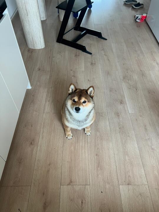 今日消费985💔