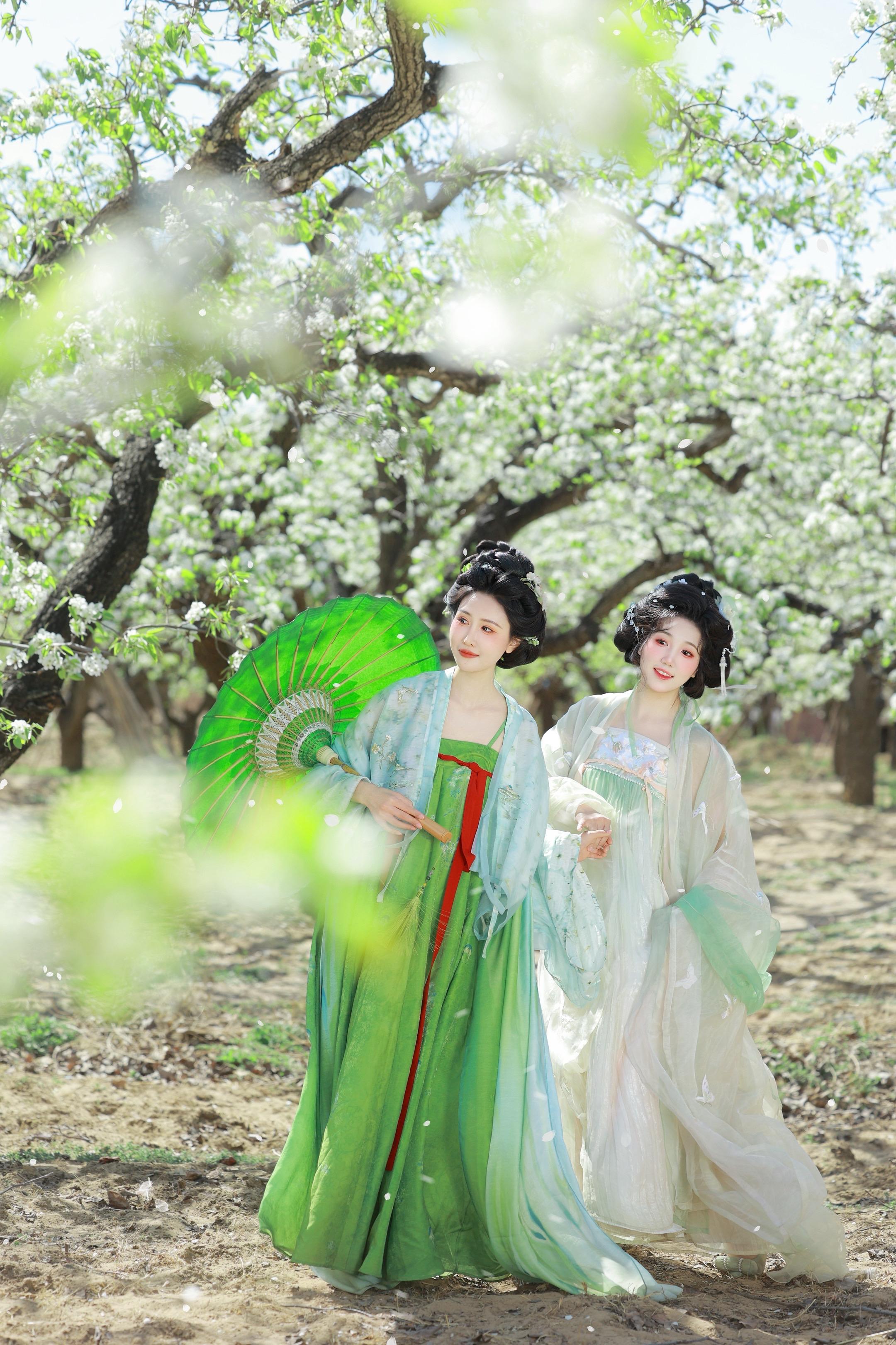 “你来到听见梨花笑”