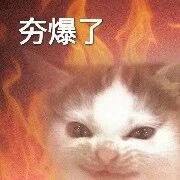 快停下手里的活儿恭喜我！刚刚在动车上，信号很差，即将进入隧道之前，信号消失的前1